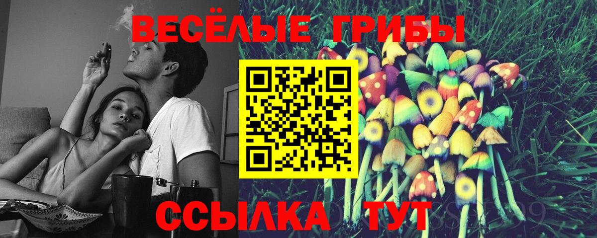 Галлюциногенные грибы Psilocybine cubensis  Галлюциногенные грибы Cubensis  Железноводск  Вход с VPN 