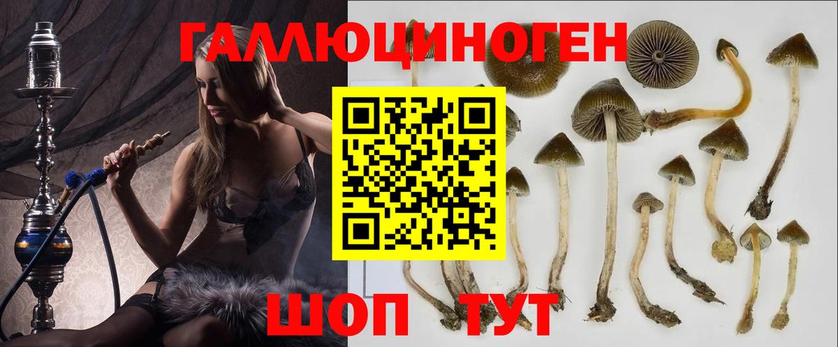 Псилоцибиновые грибы мицелий Железноводск
